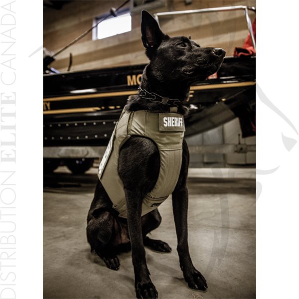 ARMOR EXPRESS ACV BOA CARRIER BLACK