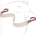 HUMANE RESTRAINT CONTENTION CUIR TORSO - SERRURES L-300